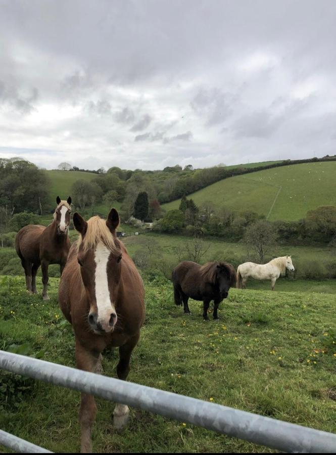 The Old Dairy Retreat Villa St Austell Luaran gambar